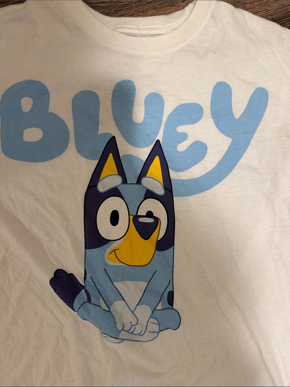 Bluey Graphic Short Sleeve Tee - White with Blue Print - Picture 2 of 4